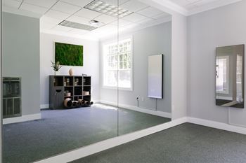 Wellness center